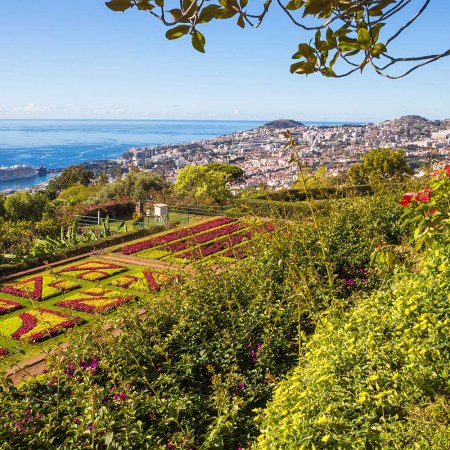 Botanical gardens in Funchal