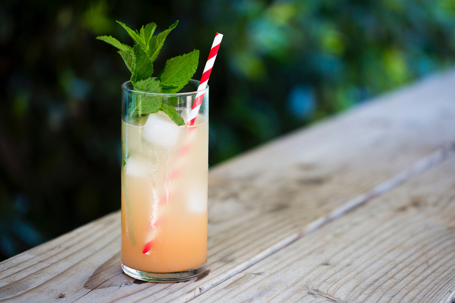 paloma cocktail with a mint sprig and striped red and white straw