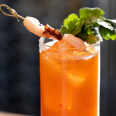 Close-up of orange-colored cocktail with garnishes
