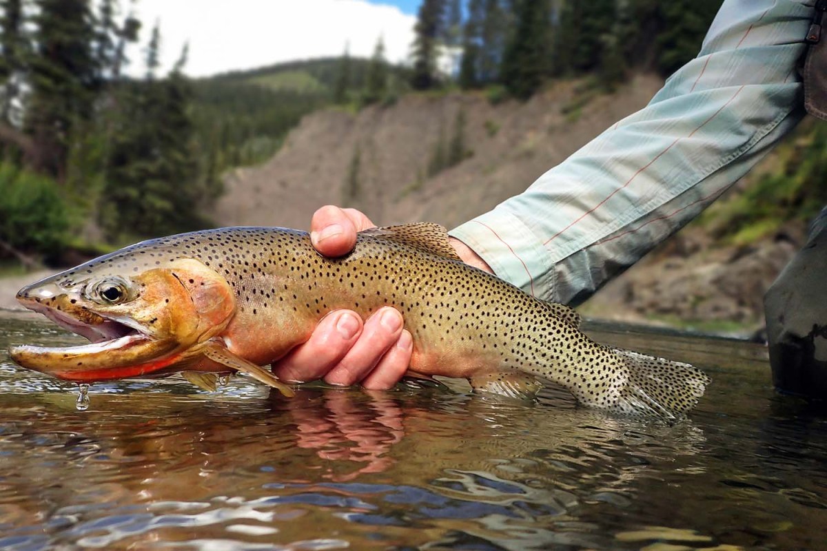 Welcome to the birthplace of American dry fly-fishing