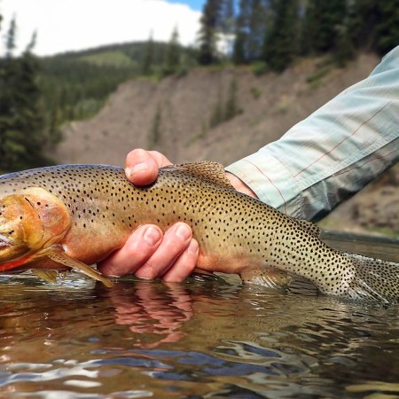 Welcome to the birthplace of American dry fly-fishing