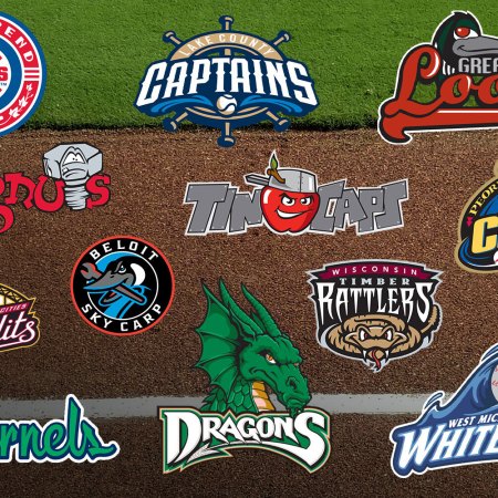 collage of minor league baseball teams logos on a baseball field.