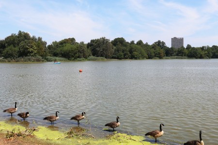 Prospect Park Lake