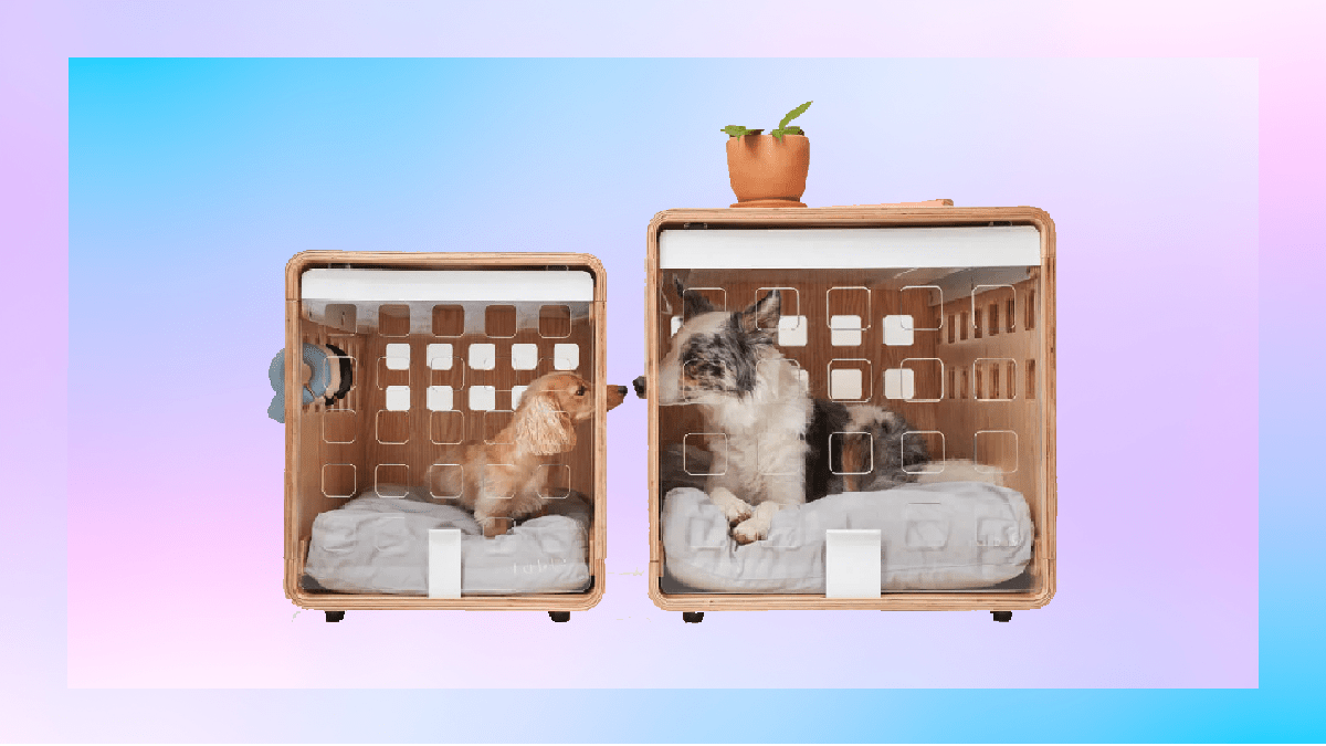 Fable Crates in two sizes