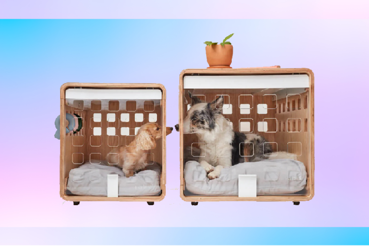 10 Fable Pets Products That Are as Stylish as They Are Functional