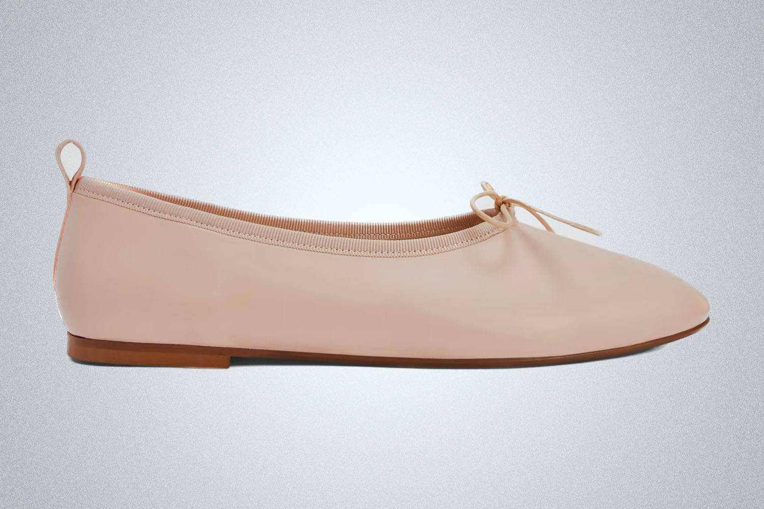 Everlane The Day Ballet Flat
