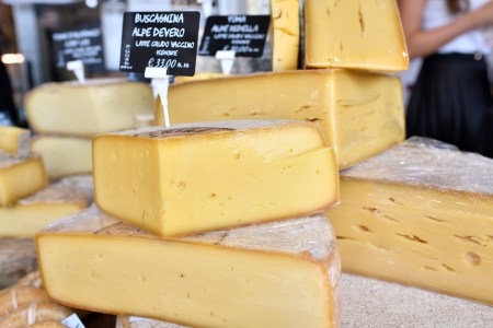 General view of cheese during the International Biennial Cheese Fair