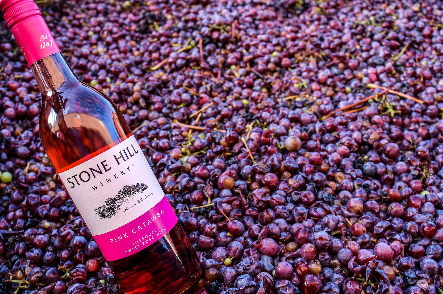 A bottle of Catawba wine, made from heirloom grapes, from Stone Hill Winery