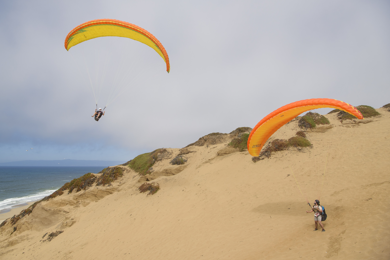 Two people on a beach wearing paraglides. One is in the air while one is on the ground.