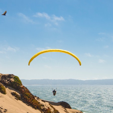 Person paragliding over a beach, overlooking the ocean while a bird flies above.