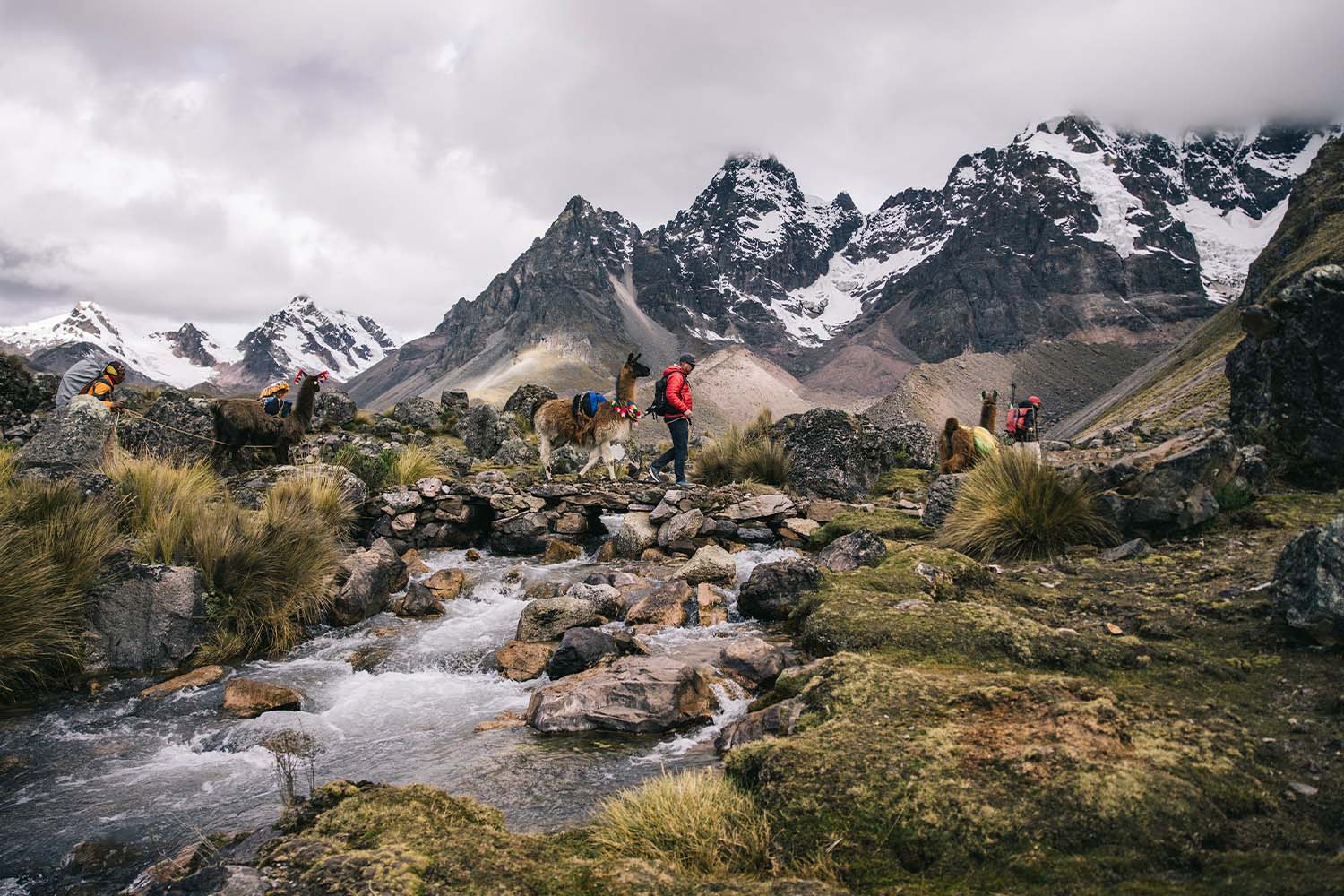 Scenes from our llama trek in the Vilcanota.