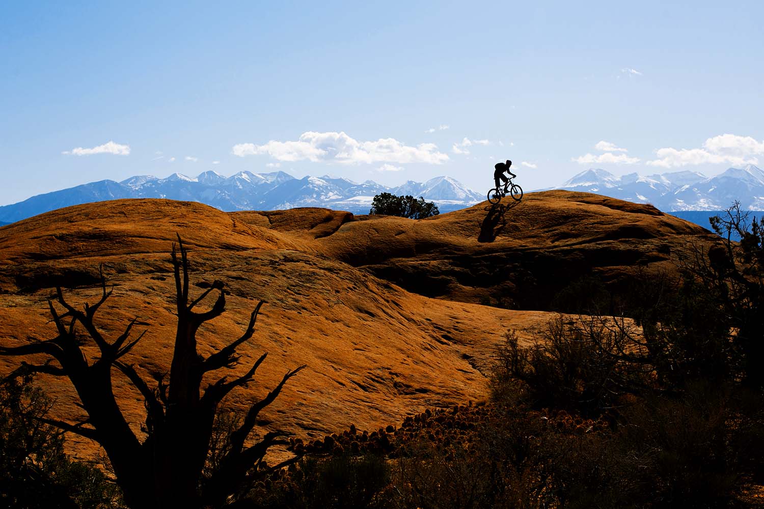 A mountain biker riding the Slickrock Trail 