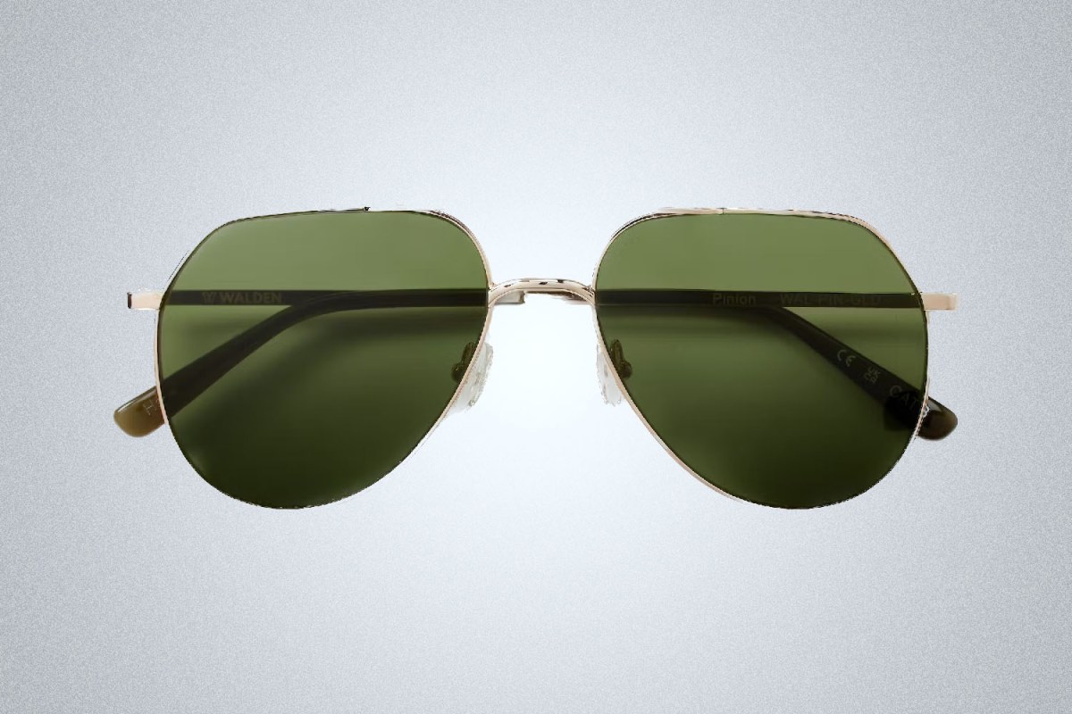 Walden Eyewear Pinion Sunglasses