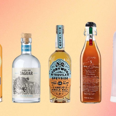 five interesting new tequila bottles