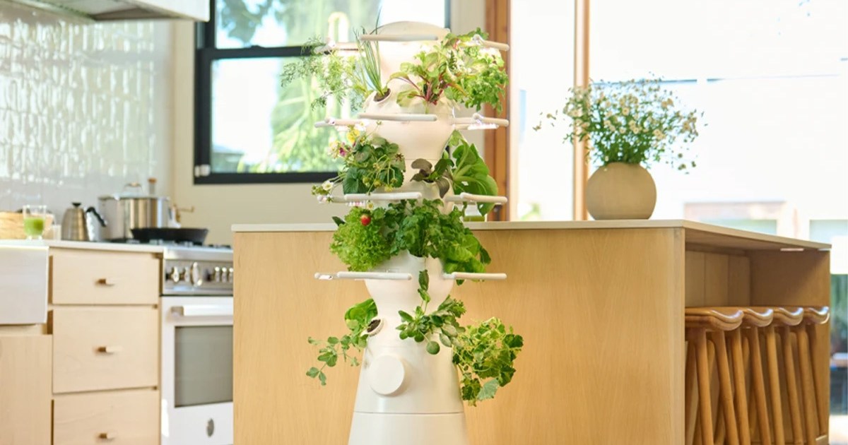 Lettuce Grow Stand in a well lit kitchen