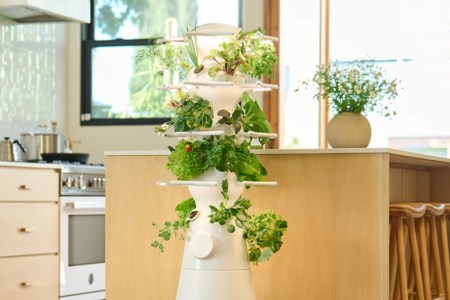 Lettuce Grow Stand in a well lit kitchen