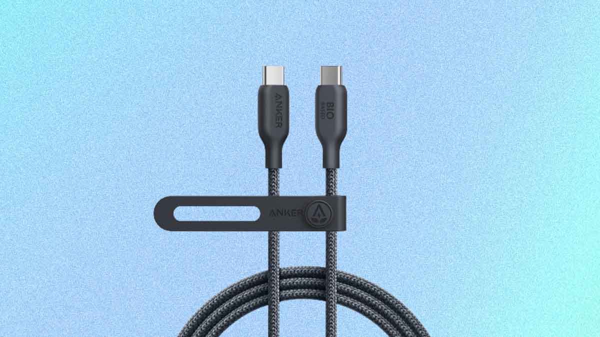 A blac Anker 543 USB-C to USB-C Cable, which is cheaper than Apple's new USB-C cables