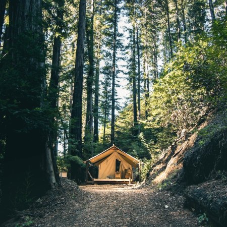 Camping tent in woods in Big Sur