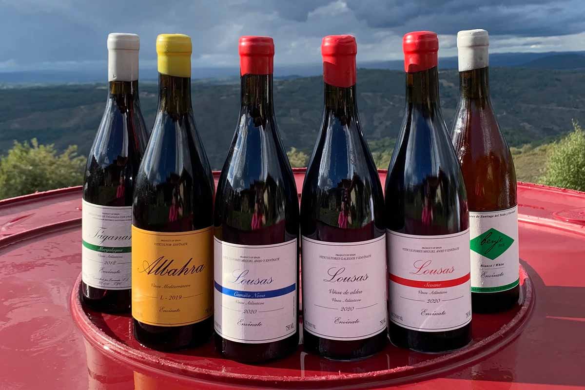 wines from Envinate on an outdoor table with mountains in the background