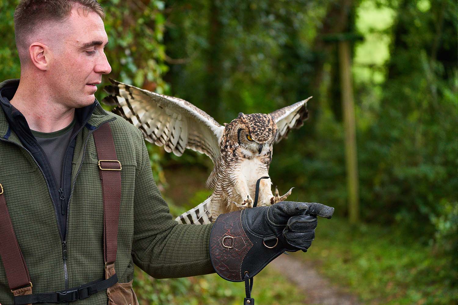 A private falconry experience