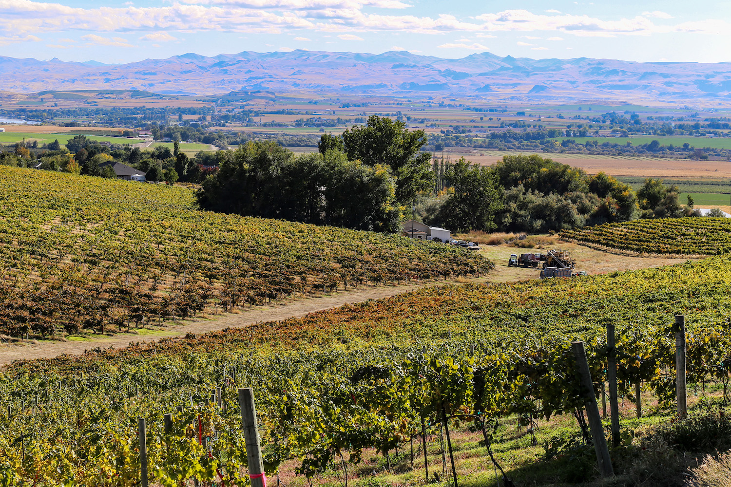 Snake River Valley American Viticultural Area in Canyon County, Idaho