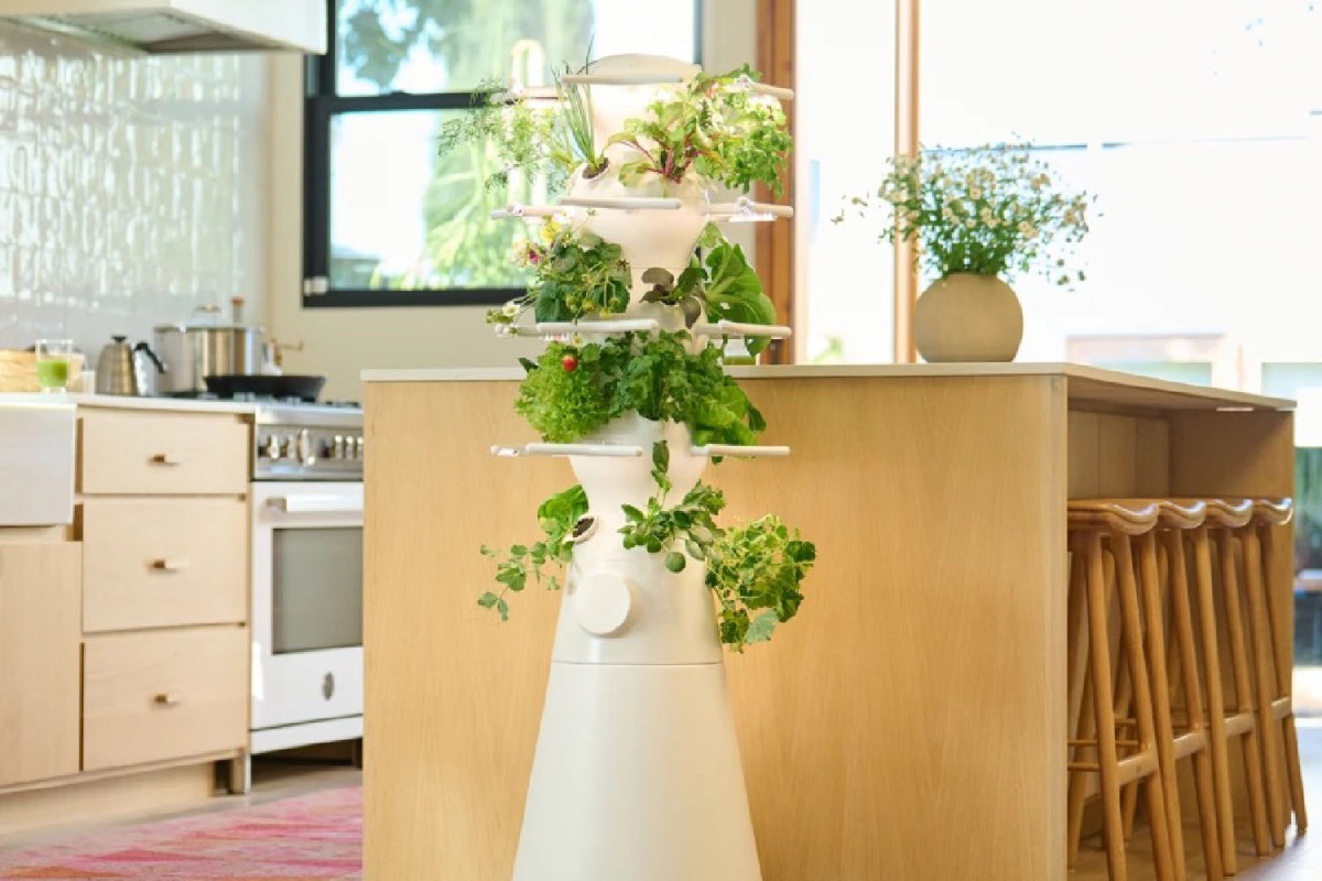 Lettuce Grow The Farmstand Nook