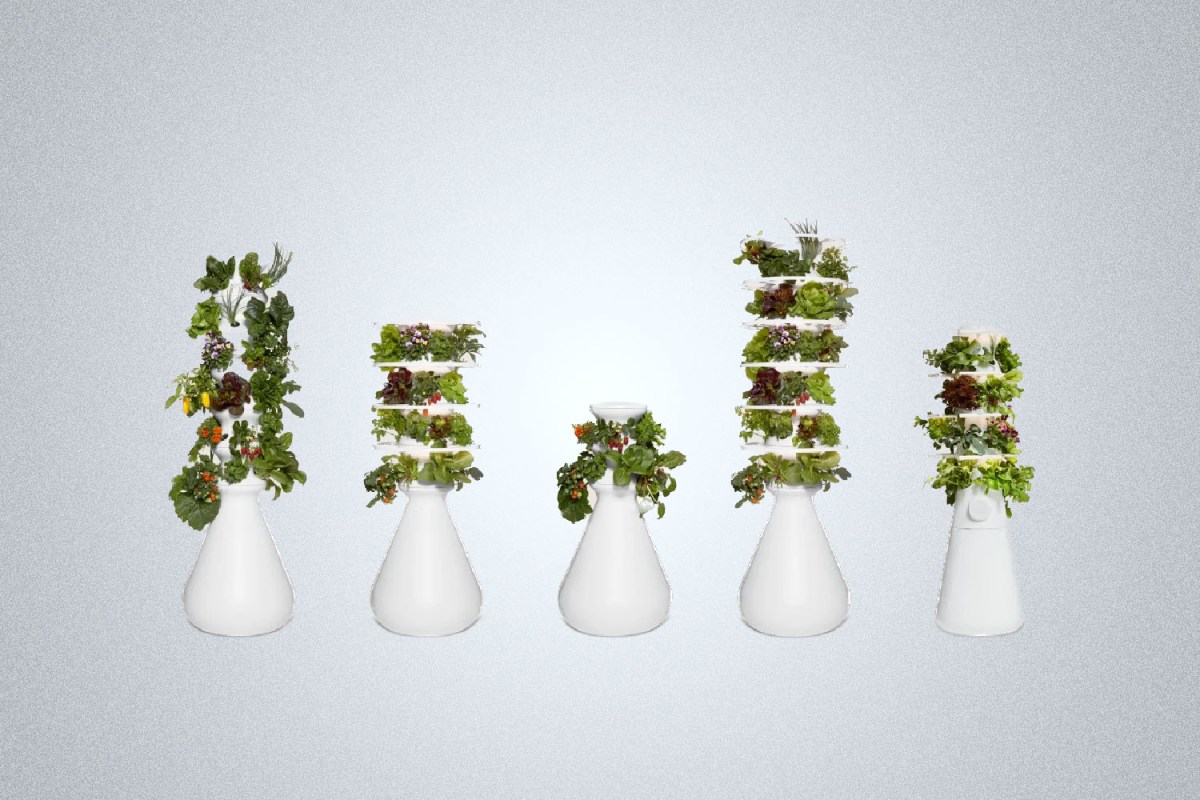 Lettuce Grow The Farmstand