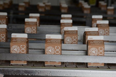 Rows of chocolate milk in cardboard cartons. Is this really the best sports drink you can buy?