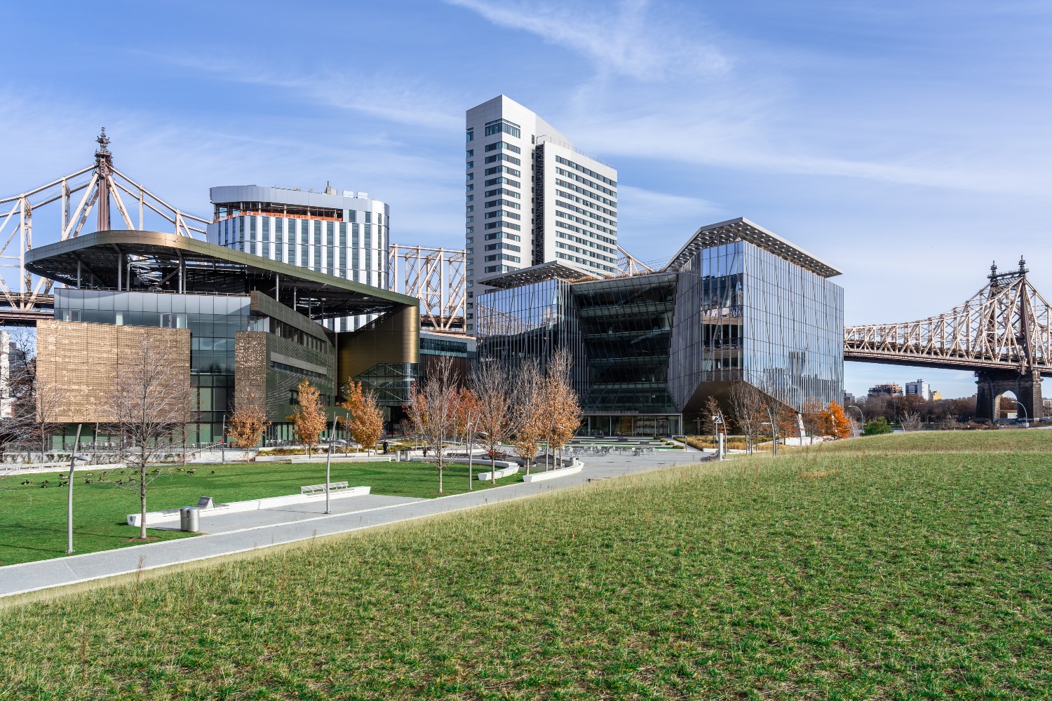 Cornell Tech campus