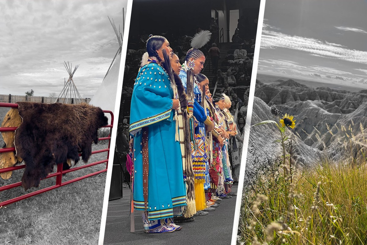Scenes from the Black Hills Pow Wow