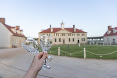 Two wine glasses in front of Mount Vernon