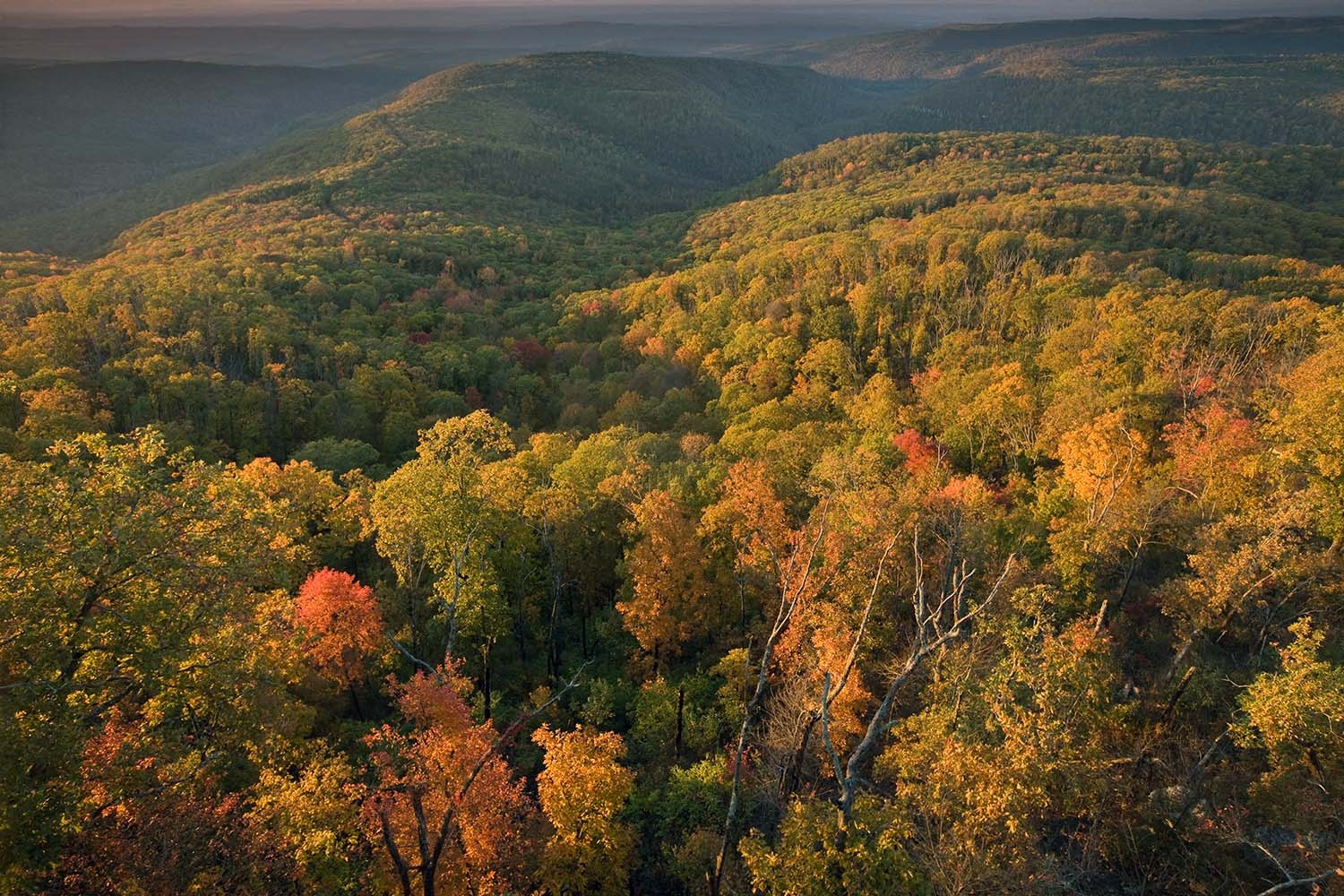 11 Scenic Drives and Hikes For The Best Fall Foliage - InsideHook