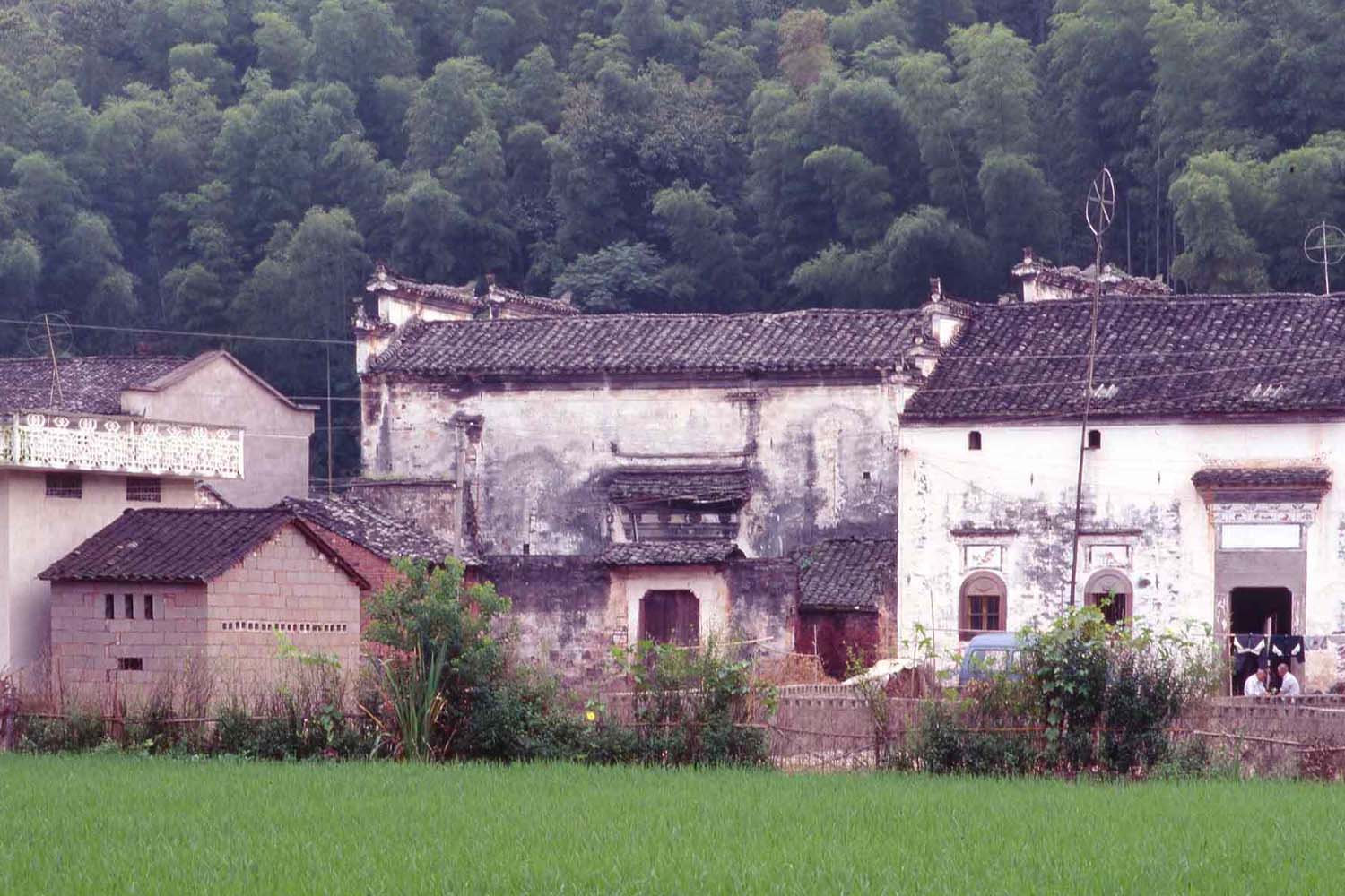 The Yin Yu House