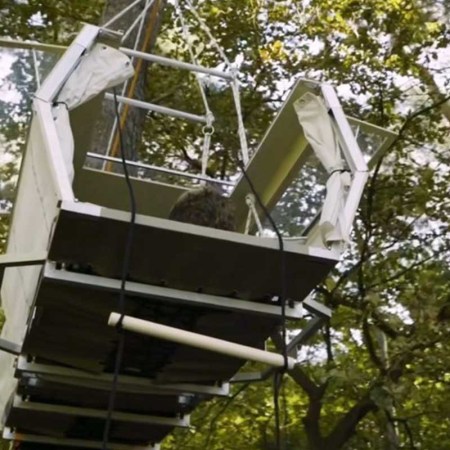 Trunk Bunk, a portable treehouse in the woods