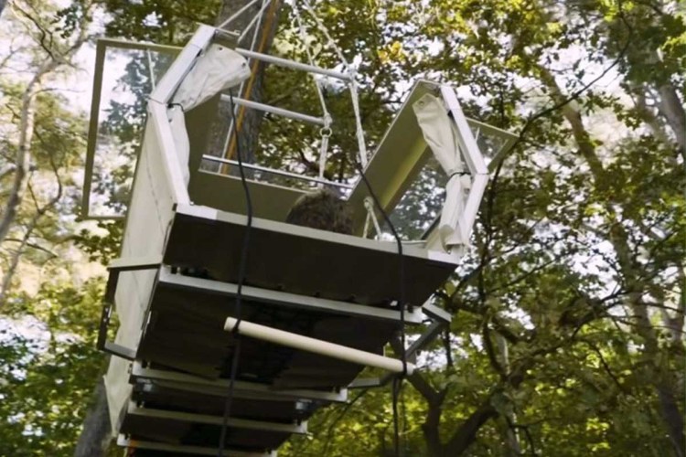 Trunk Bunk, a portable treehouse in the woods