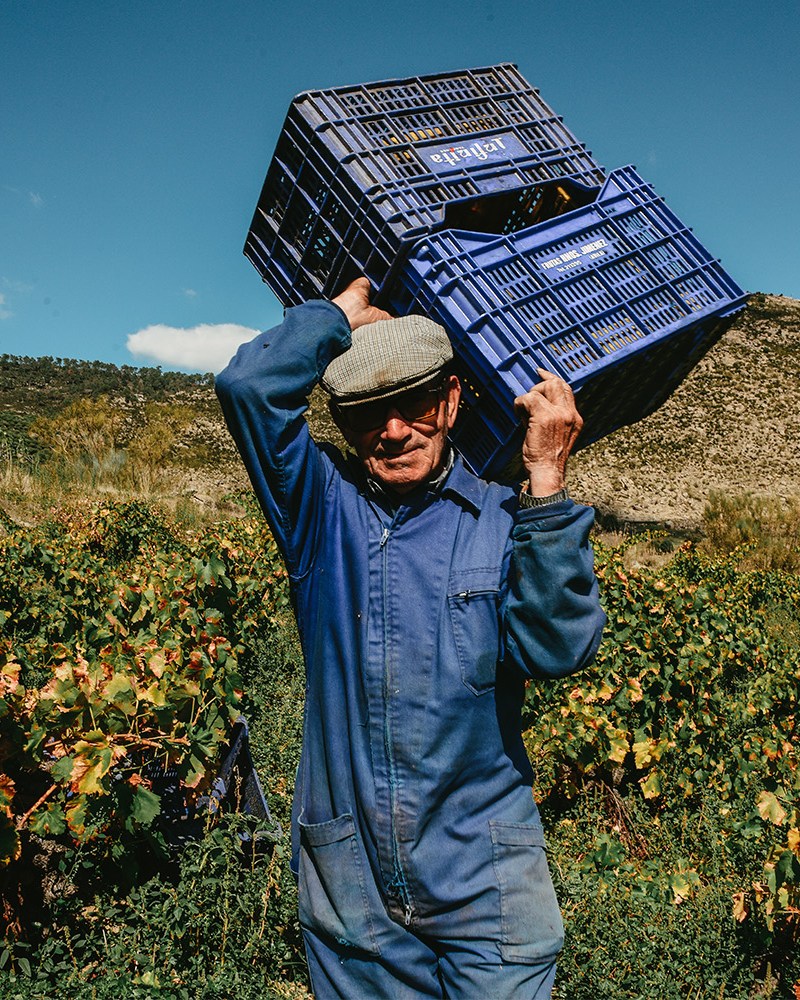 A man carrying crates through a farm.