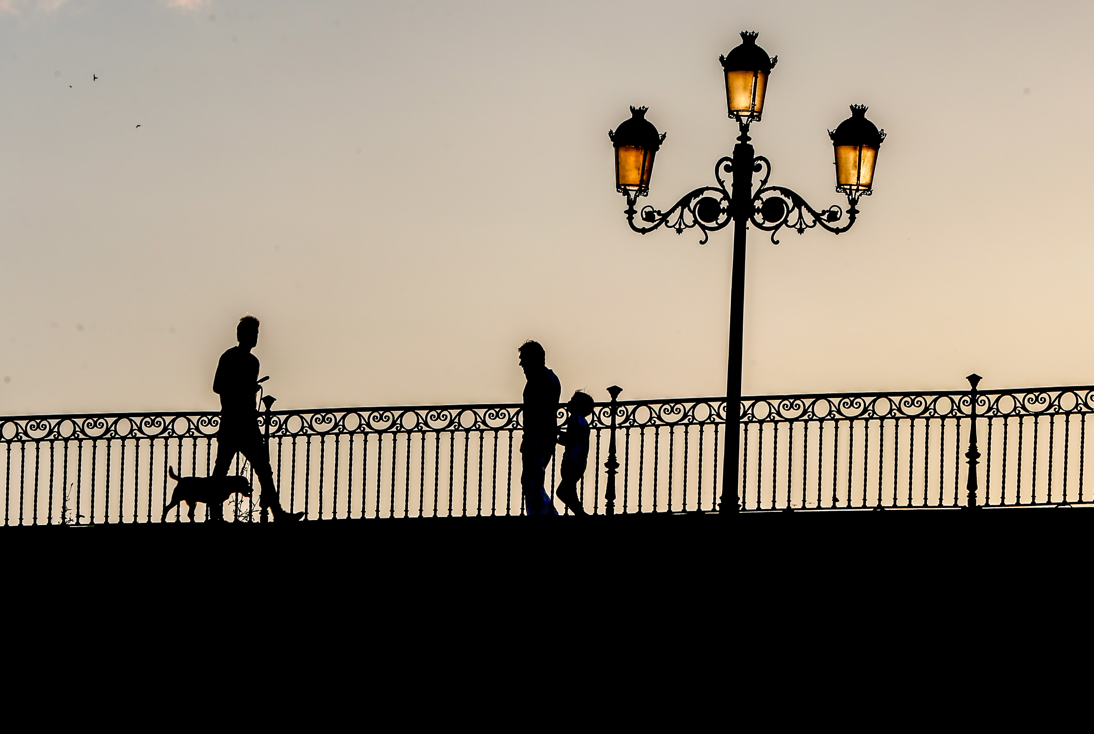 Father and son walking past a dog on a bridge at sunset.