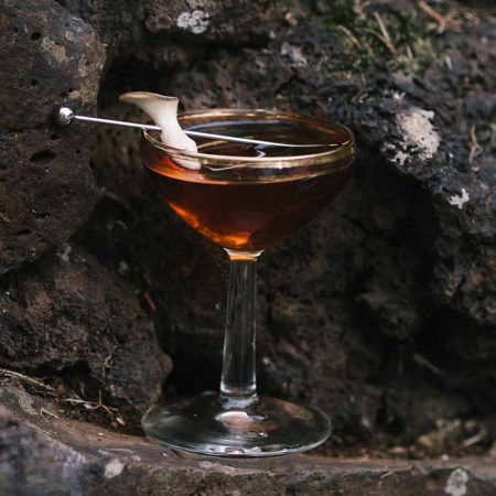 Amass Mushroom Martini in a glass dug into the ground. Mushrooms are an increasingly popular ingredients in cocktails and spirits.
