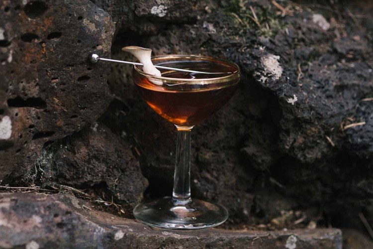 Amass Mushroom Martini in a glass dug into the ground. Mushrooms are an increasingly popular ingredients in cocktails and spirits.