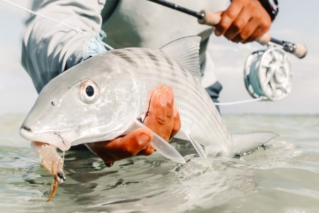 In Belize, a Saltwater Fly-Fishing Paradise Awaits