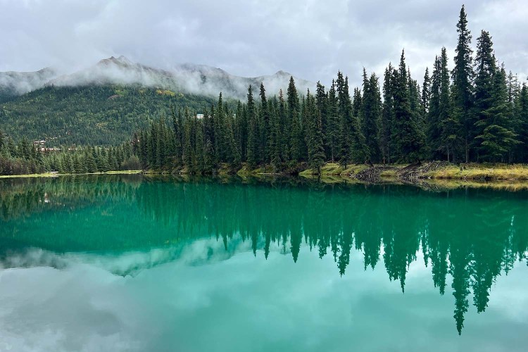 Denali visual data 5