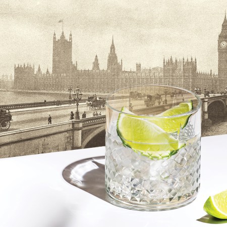 The ultimate gin cocktail in London