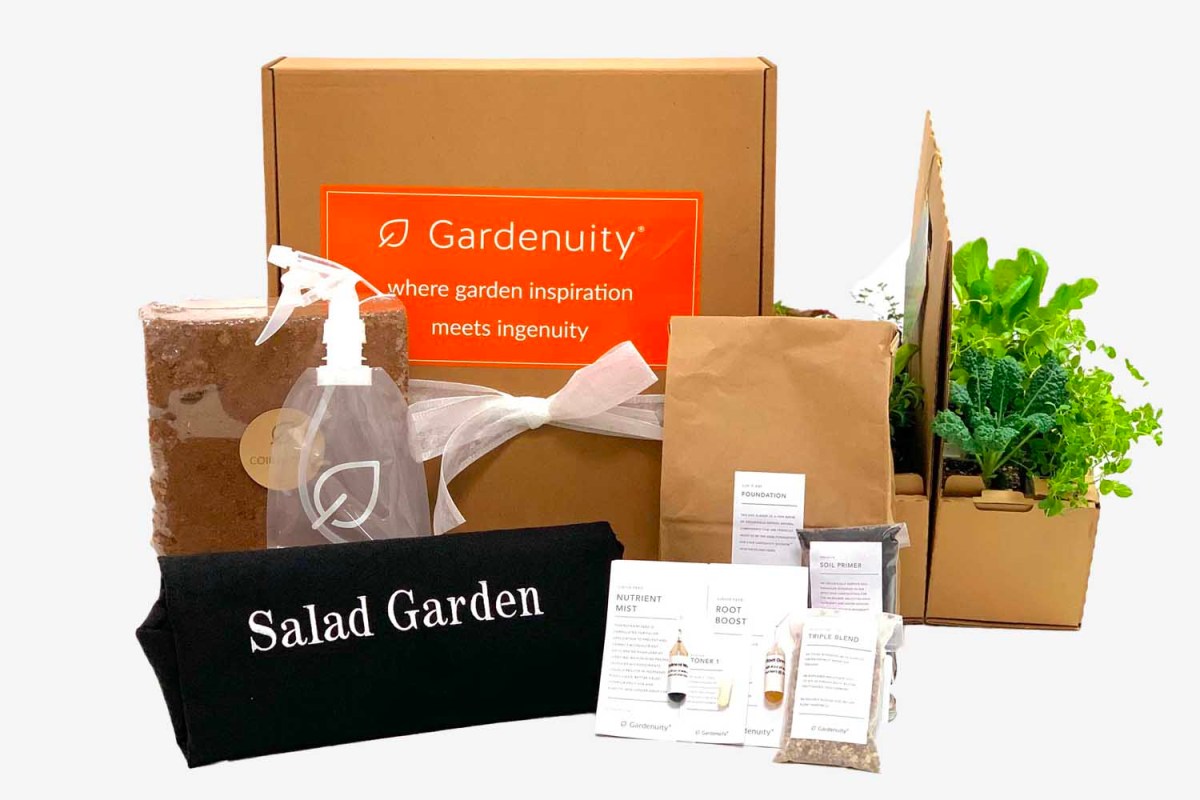Gardenuity Salad Giftable Garden