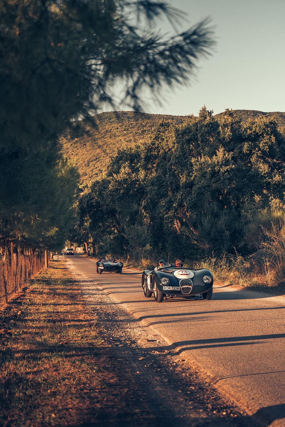 Jaguar Classic C-type and D-type driving under trees in the Italian countryside