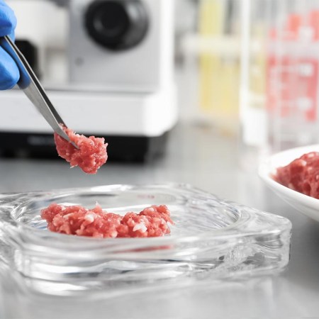 Scientist checking meat at table in laboratory, closeup