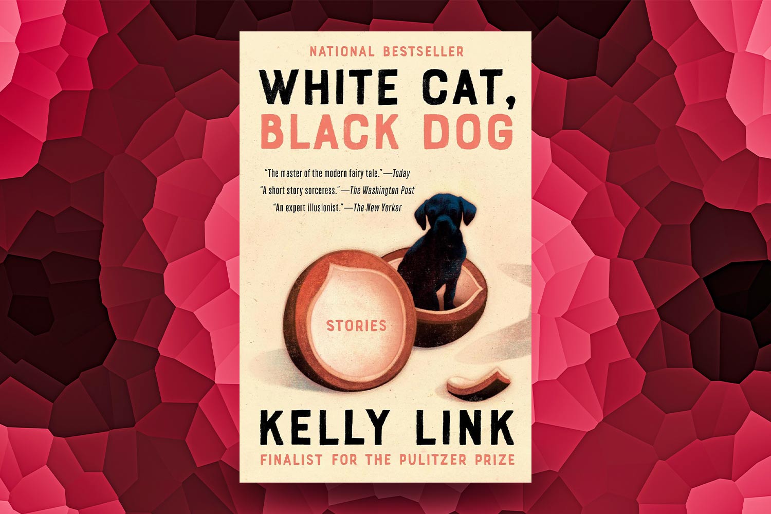 Kelly Link, White Cat, Black Dog