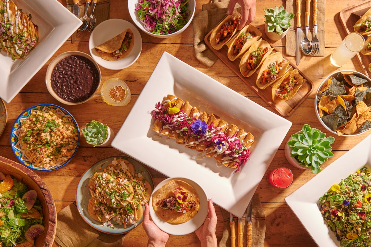 Gracias Madre vegan Mexican restaurant interior with bright colors