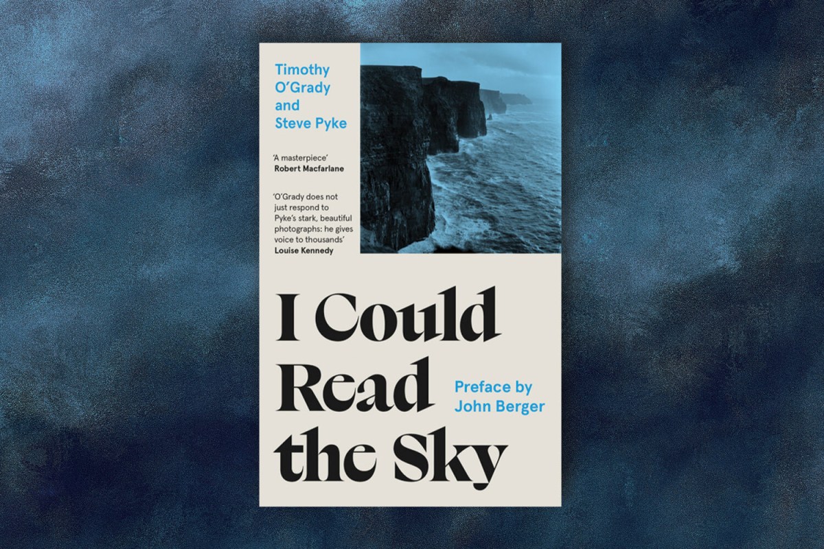 "I Could Read the Sky" cover