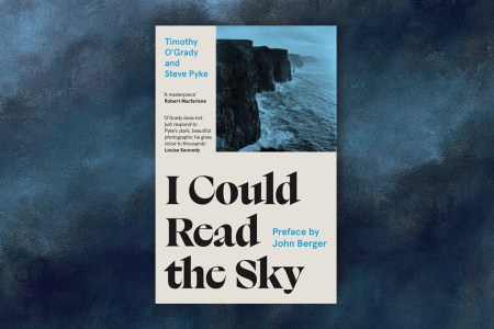"I Could Read the Sky" cover