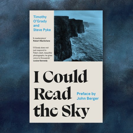 "I Could Read the Sky" cover